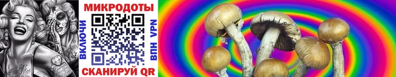 Псилоцибиновые грибы MAGIC MUSHROOMS  даркнет сайт  Оханск 